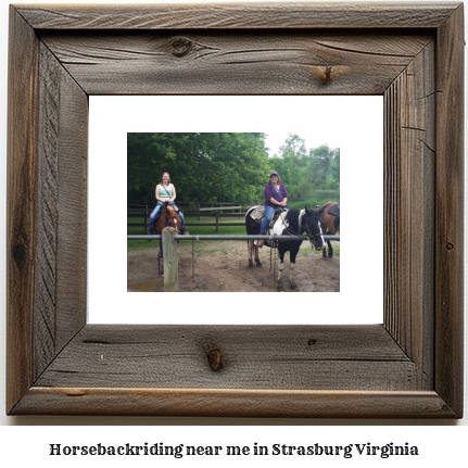 horseback riding near me in Strasburg, Virginia